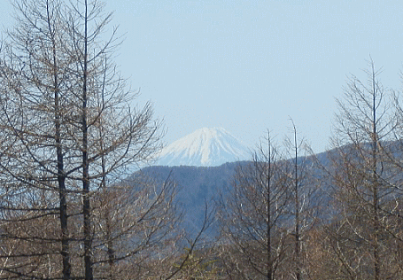 3ＢＵＨＩと初の家族旅行　ＰＡＲＴⅠ_d0152869_11225735.gif