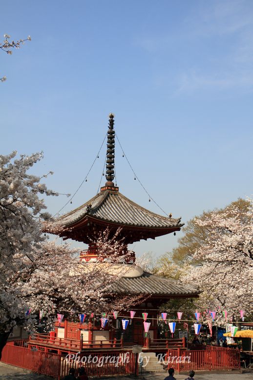 f0164575_1411959.jpg