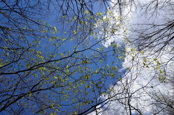 2013年5月6日～5月7日　雁峠～笠取山～和名倉山～秩父湖　テント泊縦走　2名　二日目_f0238475_23205921.jpg