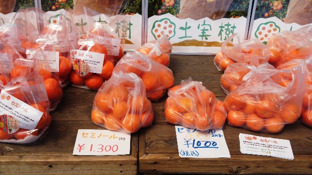 土実樹　初恋の味？「みかんソフトクリーム」！　度会郡南伊勢町五ヶ所_d0258976_2145455.jpg