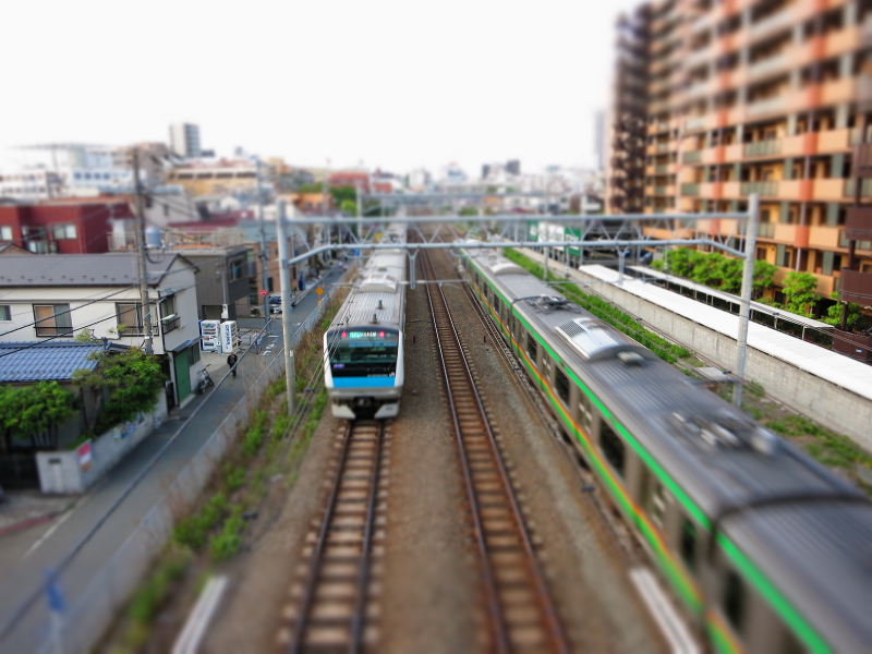 c0008378_03893.jpg