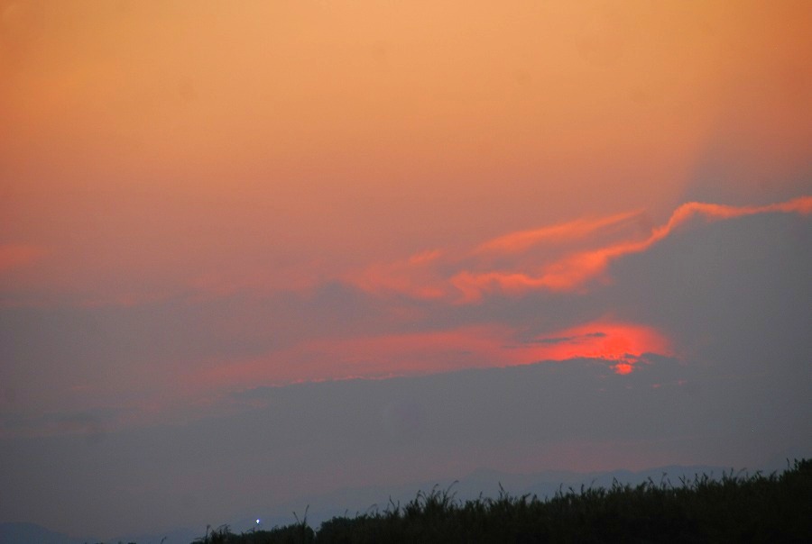 c0187781_03717.jpg