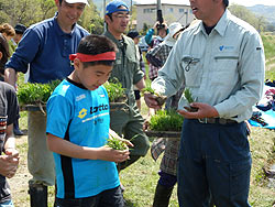 田植え体験(上目黒小・枝野小)_d0247484_2013177.jpg