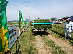 田植え体験(上目黒小・枝野小)_d0247484_2023797.jpg