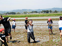 田植え体験(上目黒小・枝野小)_d0247484_20551972.jpg