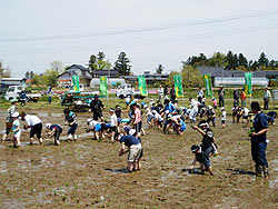 田植え体験(上目黒小・枝野小)_d0247484_2132937.jpg