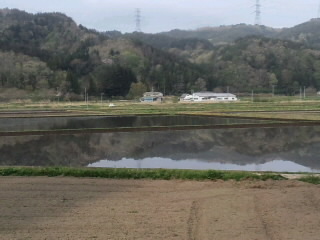 始めの一歩_d0027486_11104148.jpg