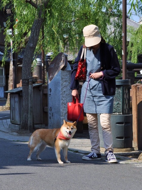 佐原ぶらり散歩_a0126590_16585387.jpg