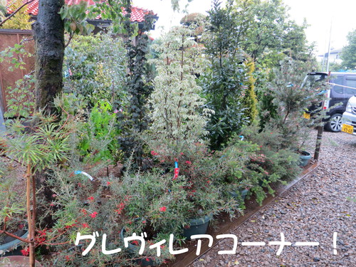 雨でも休まず（休めず）働く。_b0200291_20185767.jpg