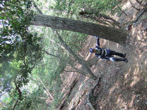 2013.5 .4  晴れ　　養老山登山_c0108092_13422784.jpg