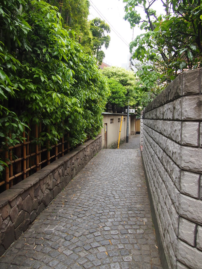 a0196698_9311996.jpg
