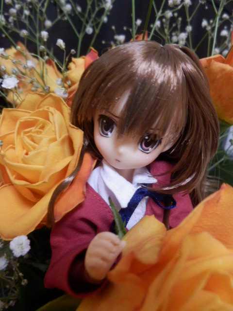 b0006402_0165560.jpg