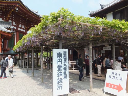 興福寺「南円堂」で「父、康慶」の不空羂索観音を拝観_f0120102_14374048.jpg