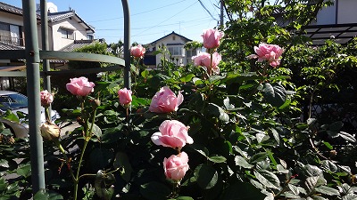 b0199304_22474545.jpg