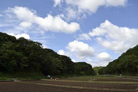 2013年5月12日　神奈川県横浜市青葉区　晴れ_c0134805_1817378.jpg