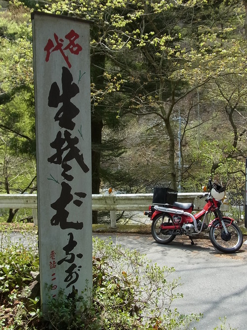 e0243008_541596.jpg