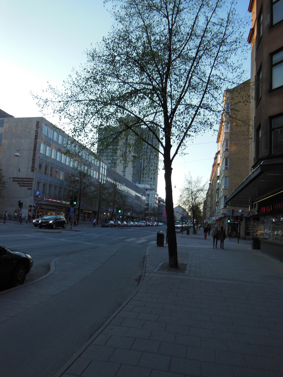 f0238814_454632.jpg