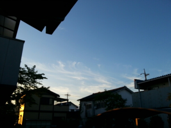 a0104020_4571747.jpg