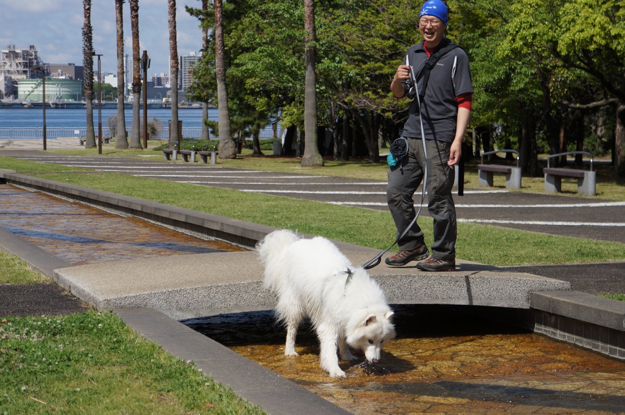 お台場で、おひたし。_f0234023_1829029.jpg