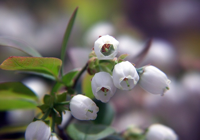 f0214527_1171065.jpg