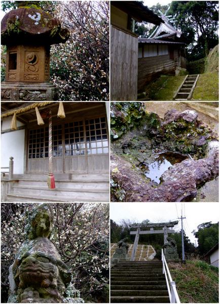 「隠岐(島前・海士) 民宿・但馬屋 夕ご飯&キンニャモニャ」_a0000029_8534742.jpg