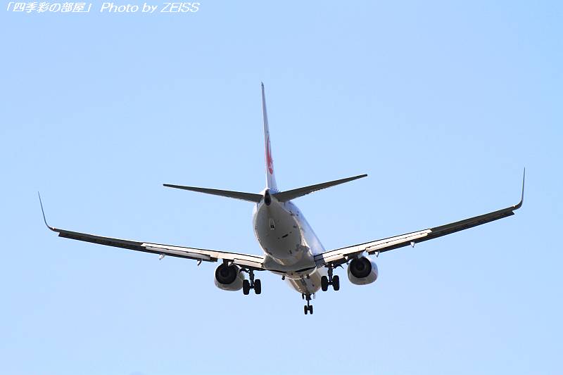 たまには飛行機も･･･_a0195032_083273.jpg