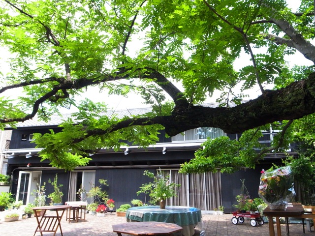 初夏のような日ざしに瓦も銀に光る。_d0057843_21133431.jpg