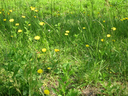 f0245650_939201.jpg