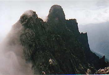 a0044453_10152892.gif