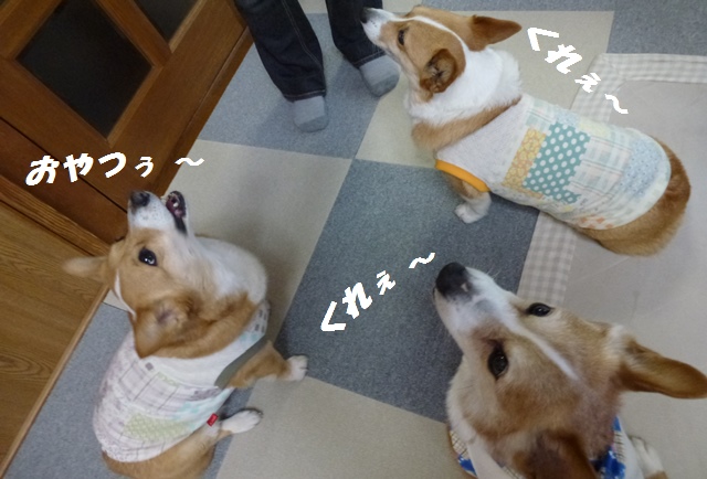f0184055_11524299.jpg