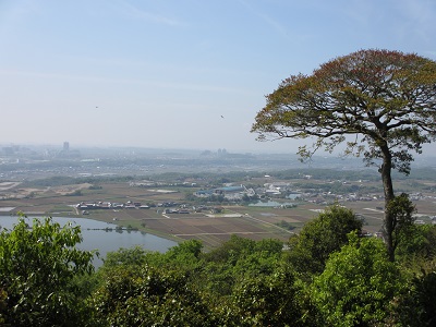 b0113959_14435545.jpg