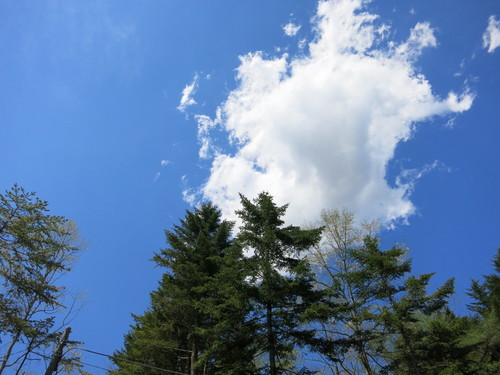 f0236260_22591824.jpg