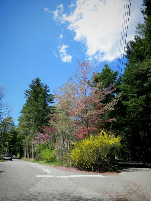 f0236260_23102562.jpg