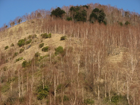 a0008664_23171422.jpg