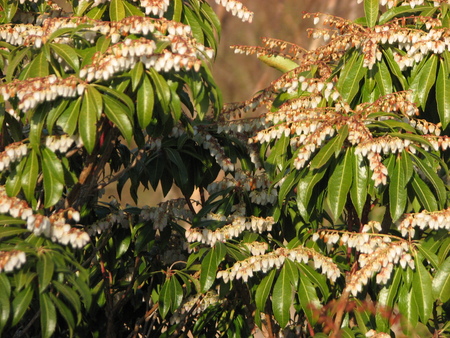 a0008664_23174248.jpg