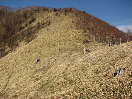 a0008664_2321374.jpg