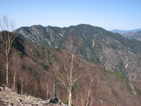 a0008664_23235243.jpg