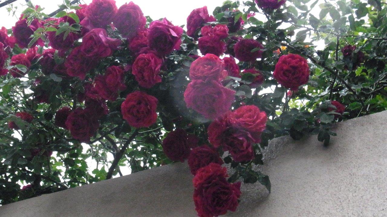 a0123465_14047.jpg