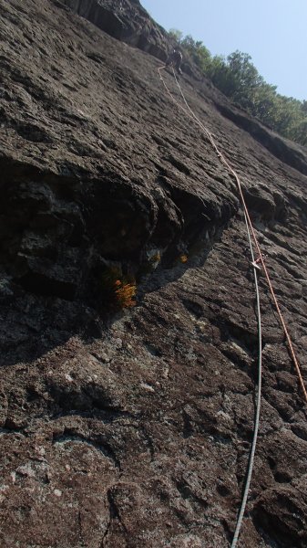 b0050067_2217648.jpg