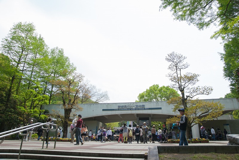 愛媛県立とべ動物園へ_b0198768_20443820.jpg