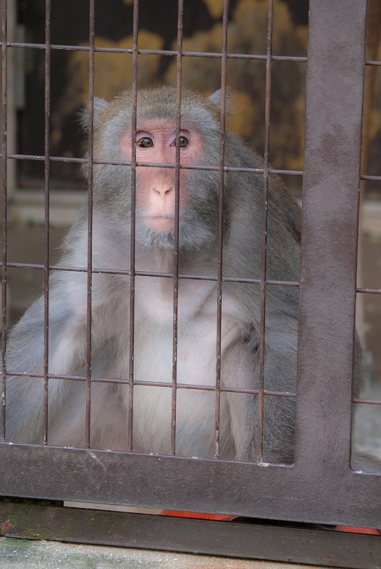 愛媛県立とべ動物園へ_b0198768_21241443.jpg