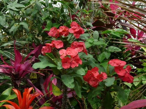 c0205169_7522723.jpg