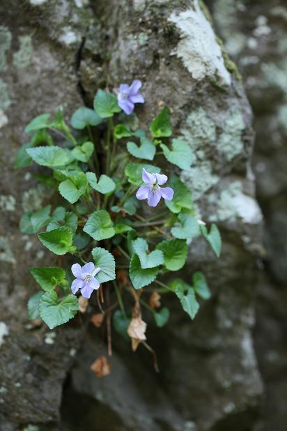 e0304170_20161581.jpg