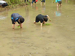 田植え体験（月光原小・西根小）_d0247484_21242963.jpg