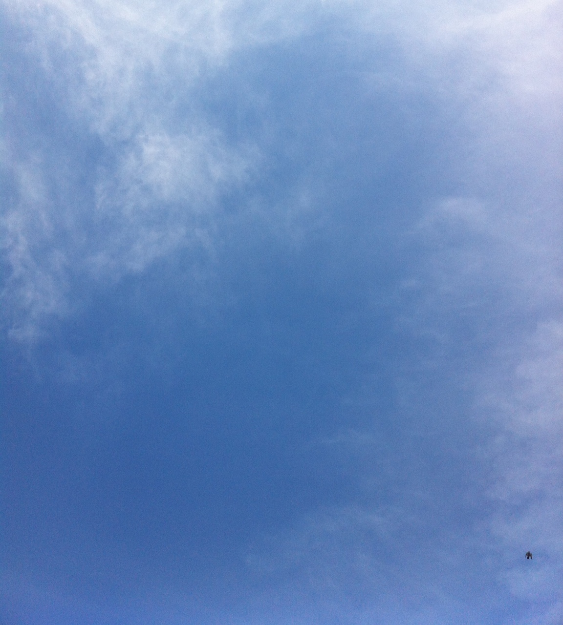 b0134285_16224275.jpg
