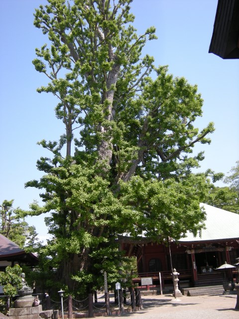 f0063887_065970.jpg