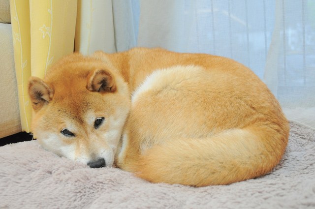 待ってました!!_a0126590_21383890.jpg