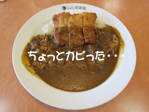 忙し過ぎて、ご飯もゆっくり食べられない。_b0200291_22111546.jpg