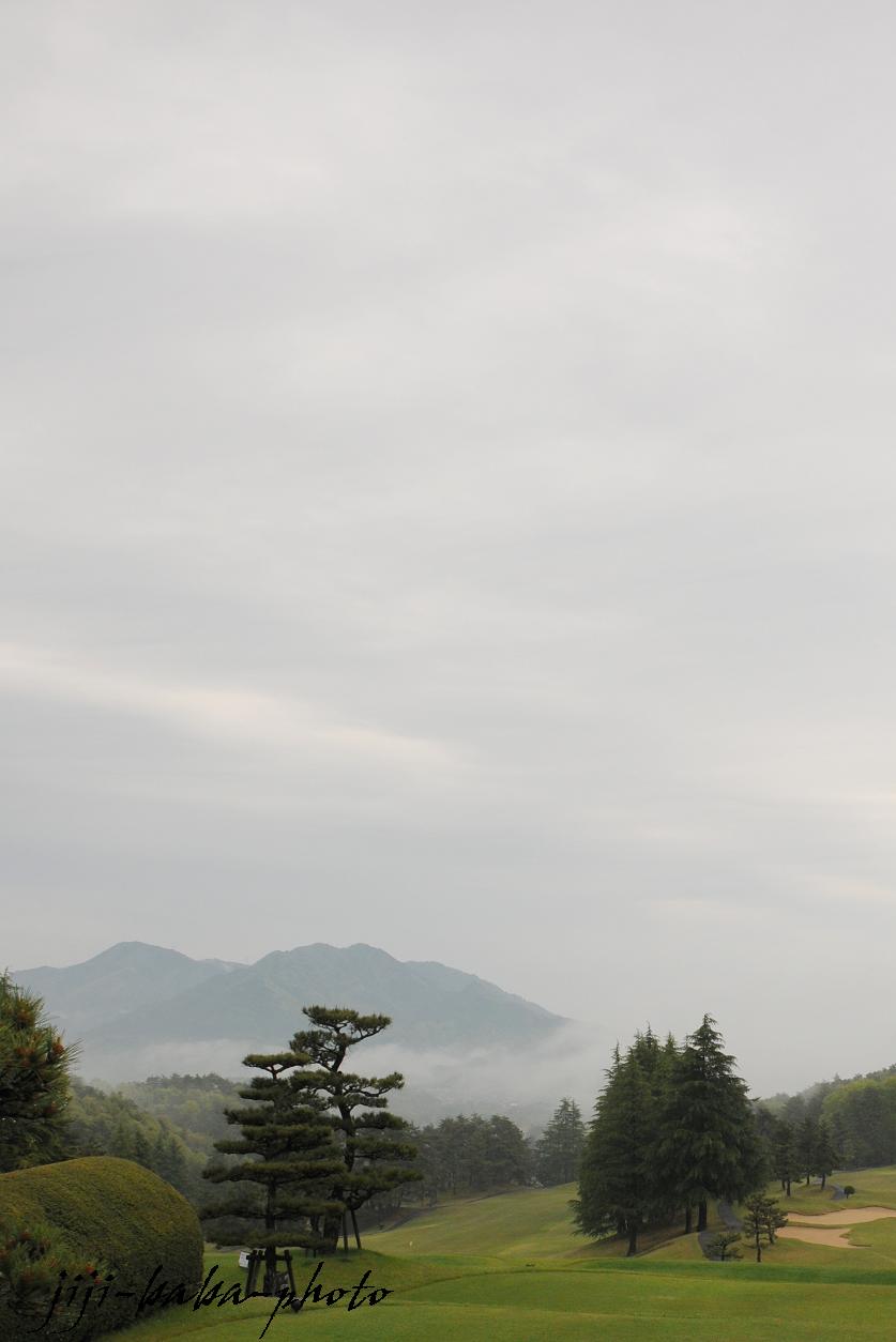 d0239891_1911667.jpg