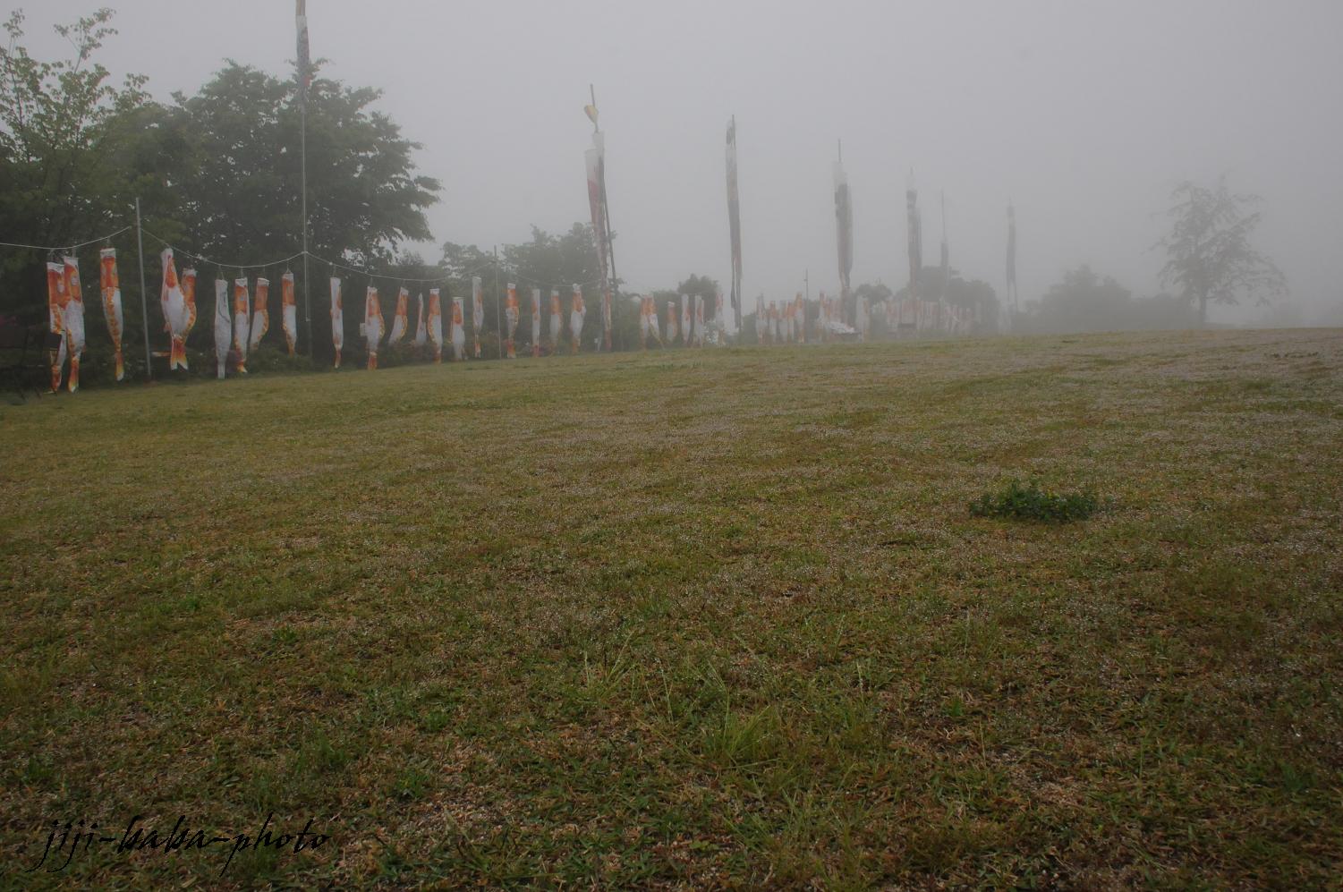 d0239891_1982930.jpg